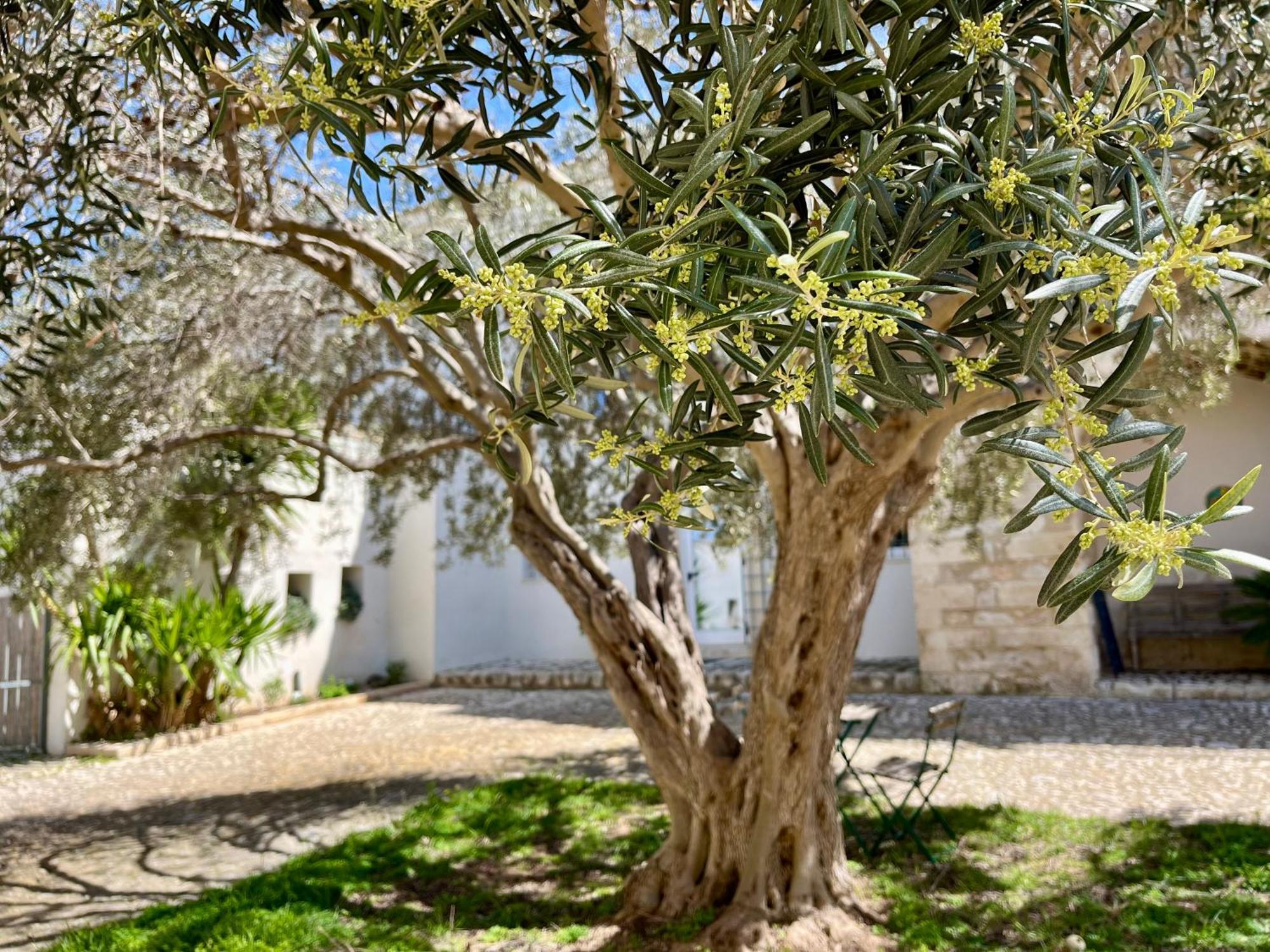 Bed and Breakfast Dimora Di Dante Chiaramonte Gulfi Exterior foto